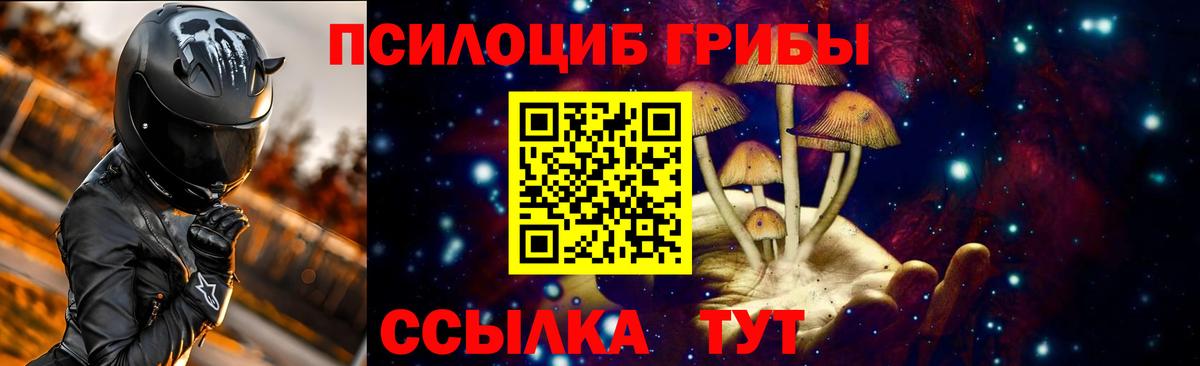 Галлюциногенные грибы GOLDEN TEACHER Ижевск